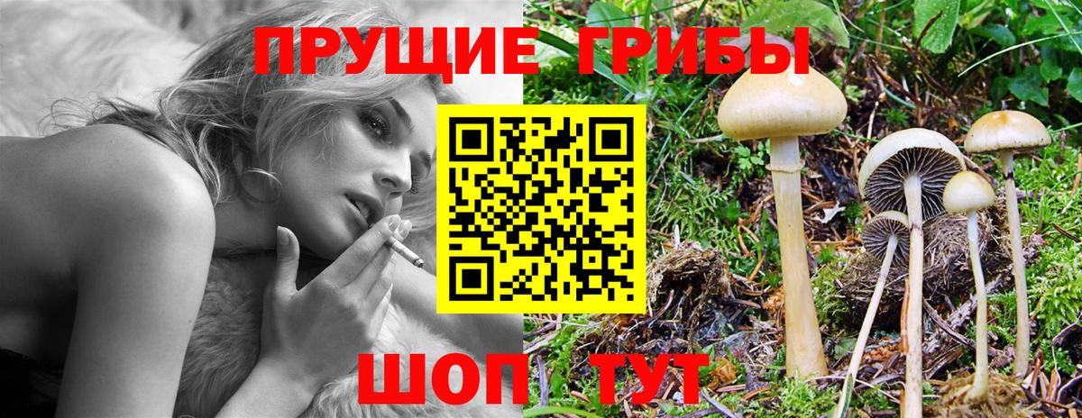 Сыктывкар  Псилоцибиновые грибы Cubensis  наркота  Галлюциногенные грибы Magic Shrooms  Вход с VPN 